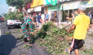 IMG_20240428_155926_copy_800x450